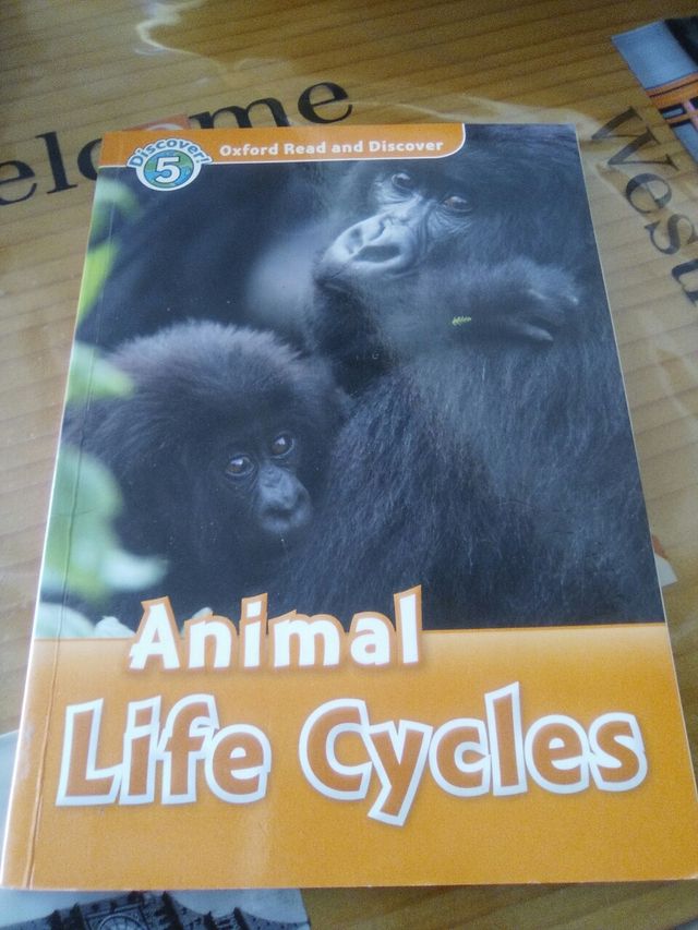Animal Life Cycles