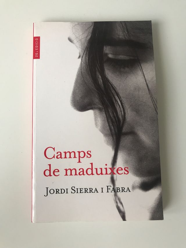 Camps de maduixes