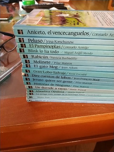 LIBROS BARCO DE VAPOR