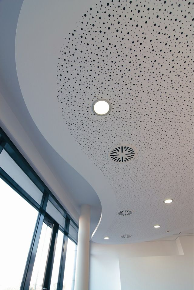 Techo Desmontable Insonorizado - Idea Sala De Estar