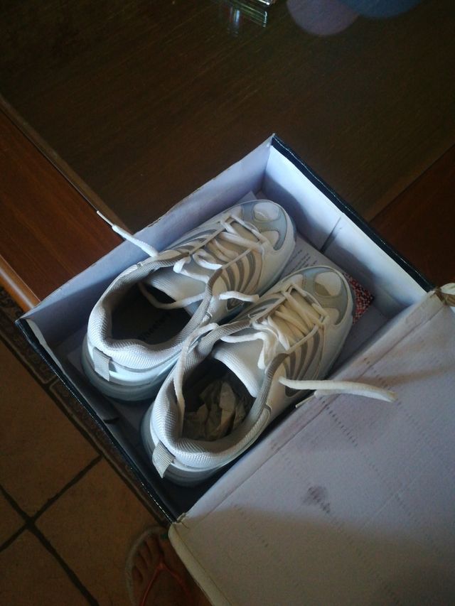 zapatillas Wheelers