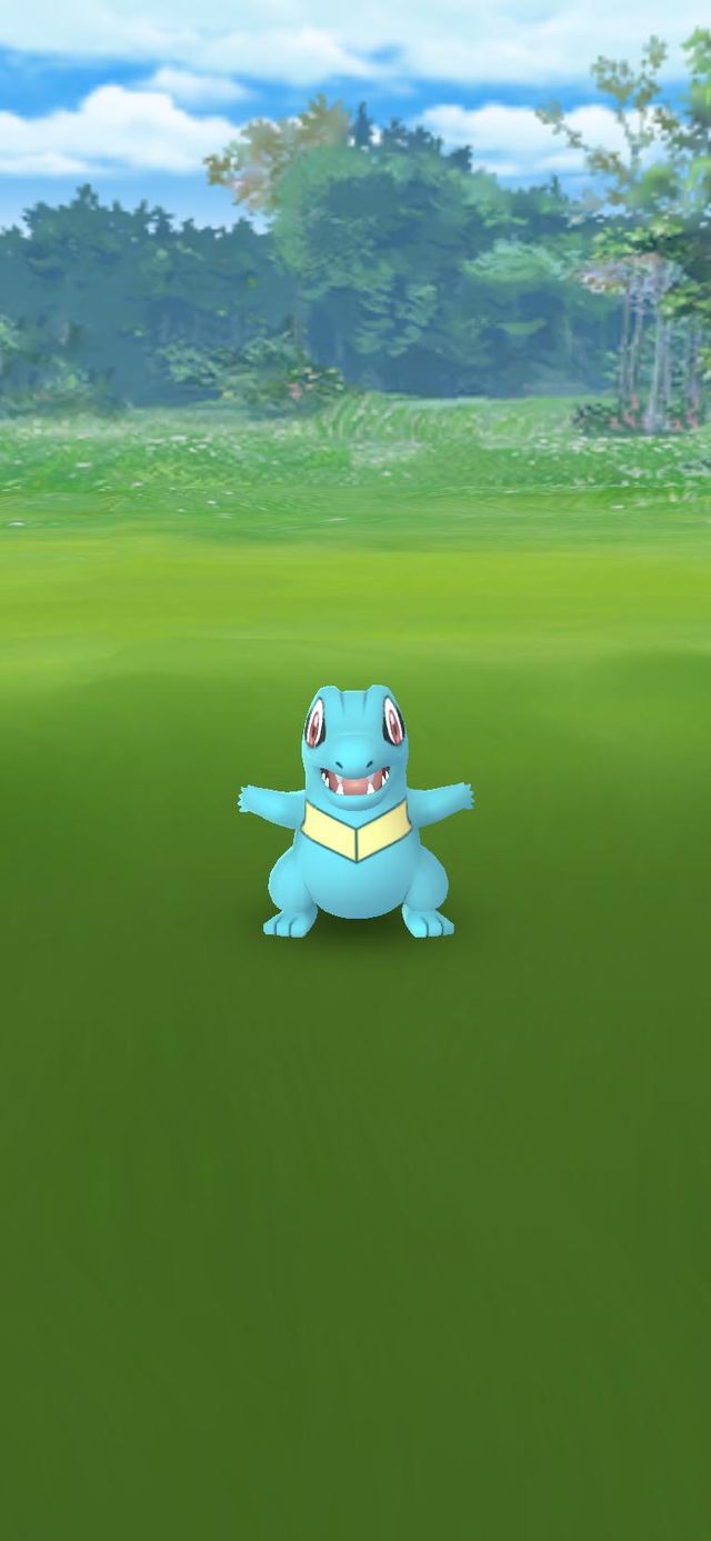 Liquidación Chollo por Traslado MIRA MI PERFIL