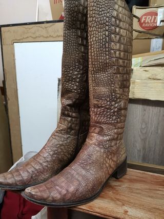 botas de piel de cocodrilo