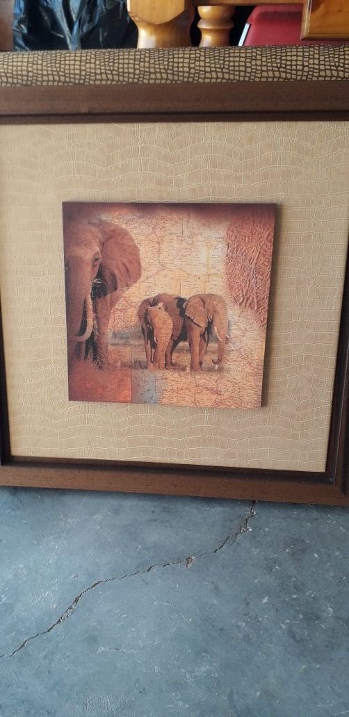 Cuadros autenticos de animales