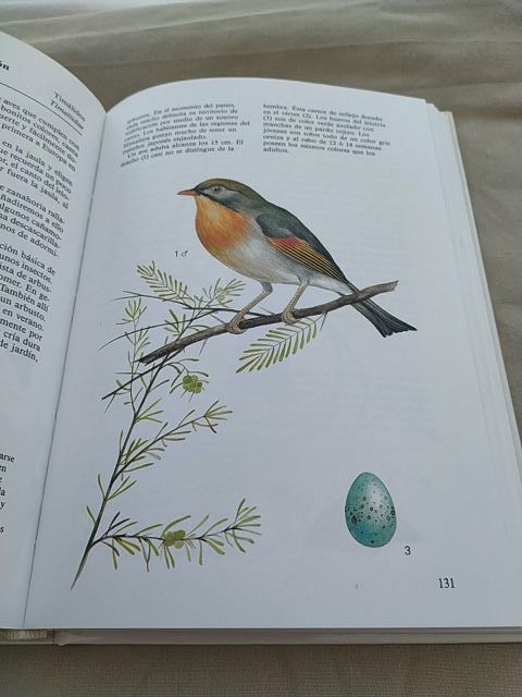 Aves de jaula. Susaeta