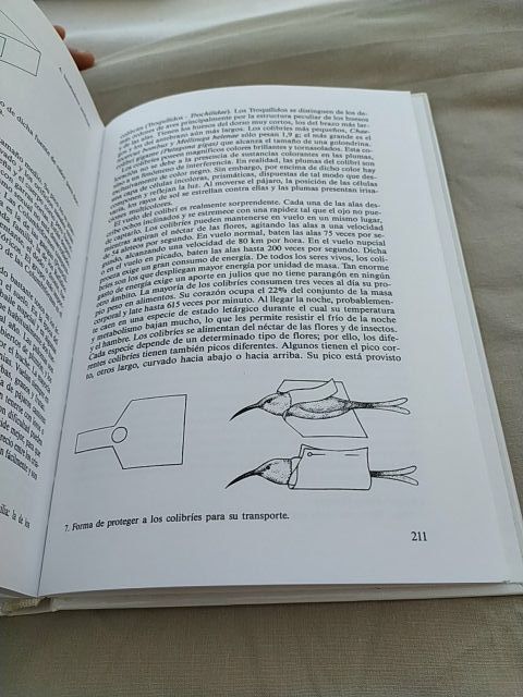 Aves de jaula. Susaeta