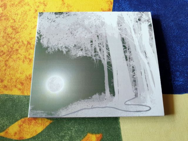 THE KISS THAT TOOK A TRIP - Electroforest By Night