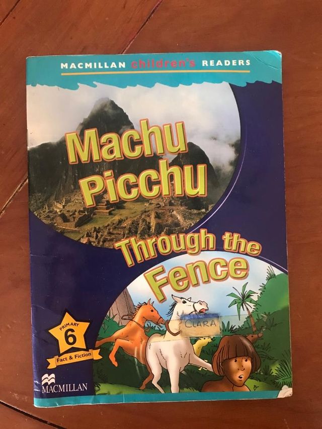 machu picchu through the fence