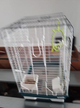 De Wallapop Mano Jaula En Ninfa Segunda vg7bfY6y