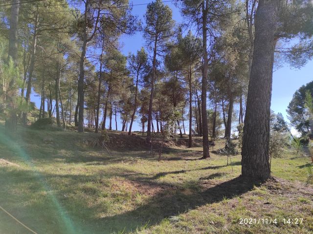 Parcela 1200 m2. Muy buena orientación.