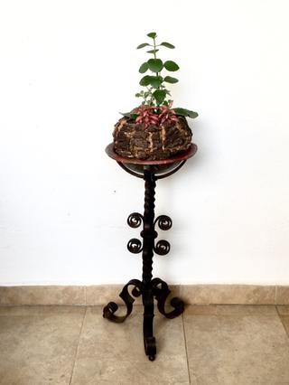 Antiguo hierro forjado.