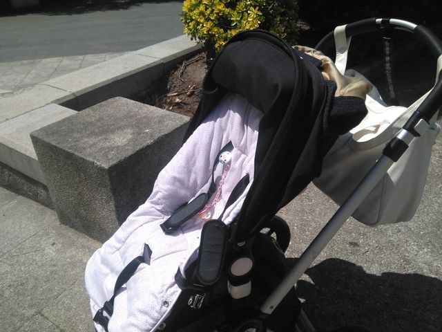 Bogaboo Camaleón Negra