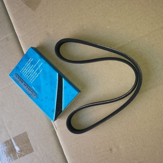 Cinghia dell'alternatore, condizionatore d'aria, ecc