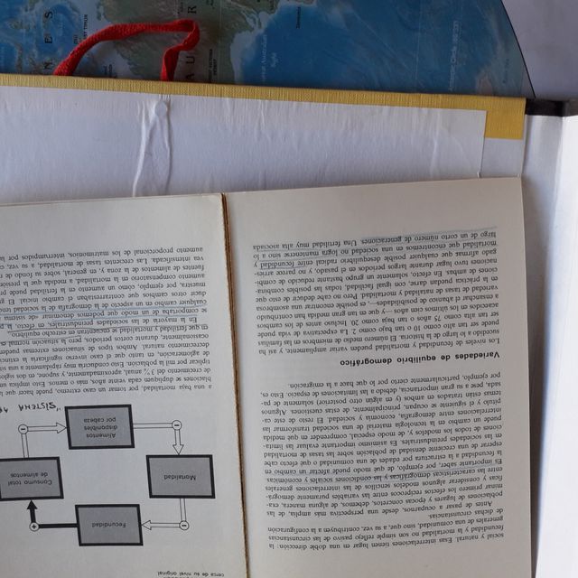 La demografía histórica poblaciones sociedad