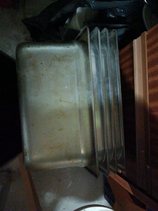 Horno industrial con bandejas Gastronor