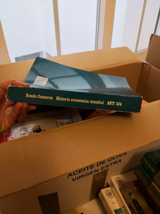 Historia Económica mundial.