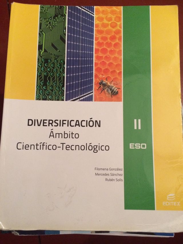 DIVERSIFICACION AMBITO CIENTIFICO TECNOLOGICO