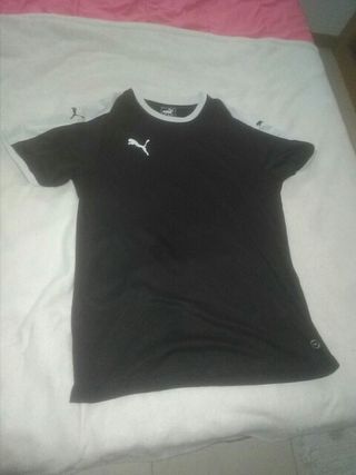 termica puma termica puma