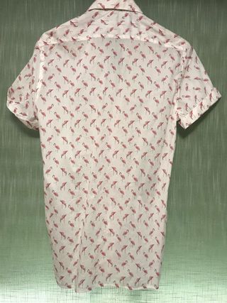 Camisa Zara hombre de segunda mano por 19 € en Valencia en Camisa Zara hombre de segunda mano por 19 € en Valencia en