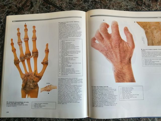 GRANDE ATLANTE DELL'ANATOMIA UMANA. 2 volumi.
McMinn, R.