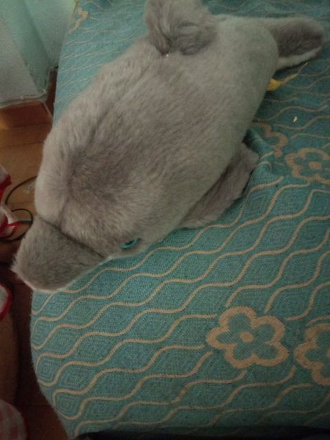 peluche Delfin