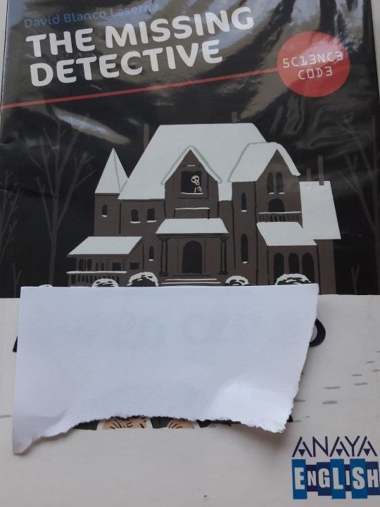 THE MISSING DETECTIVE