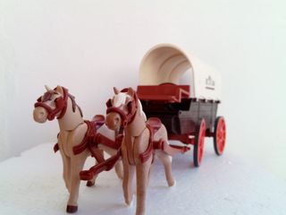 playmobil 5248 carrefour