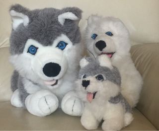 husky peluche ikea
