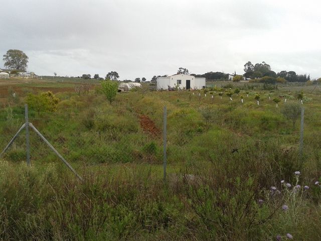 Terreno en venta