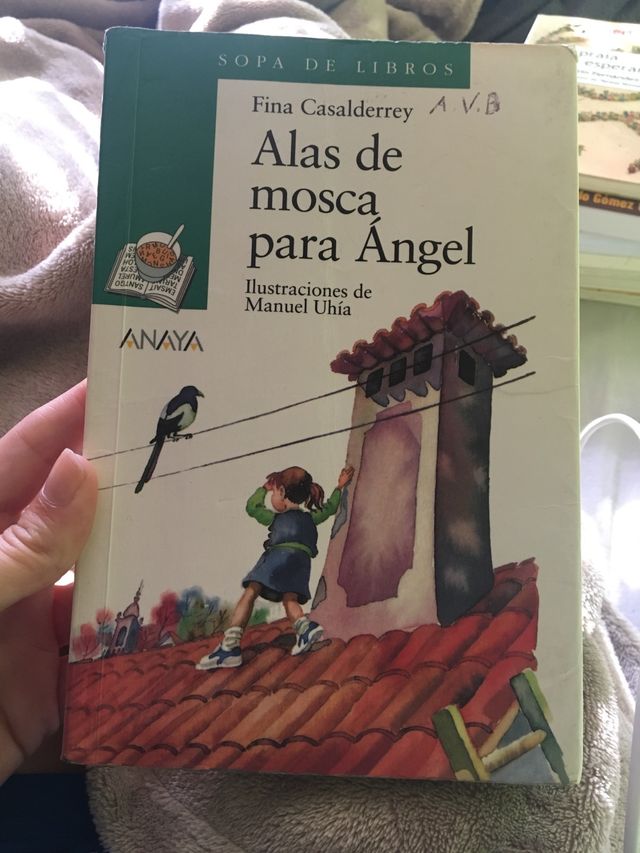 Ali volanti per Angel di Fina Casalderrey