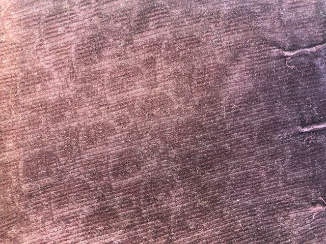 Pantalones bebé Baby Dior T 6 meses