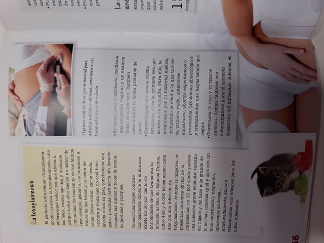 Rebajado!!!- Libro embarazo.