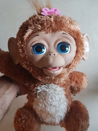 peluche moni monita