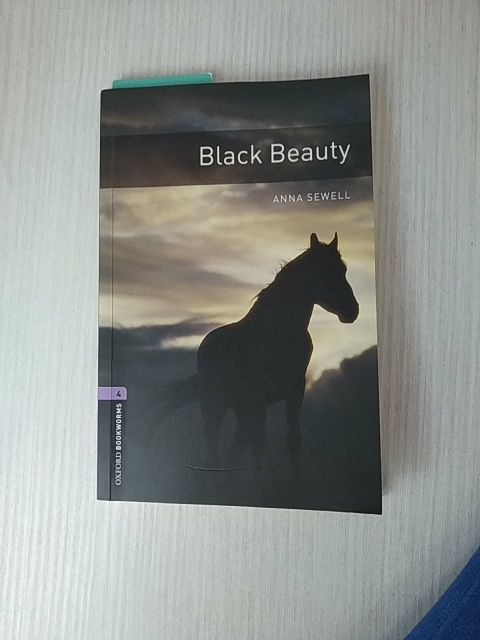 Libro de lectura de inglés