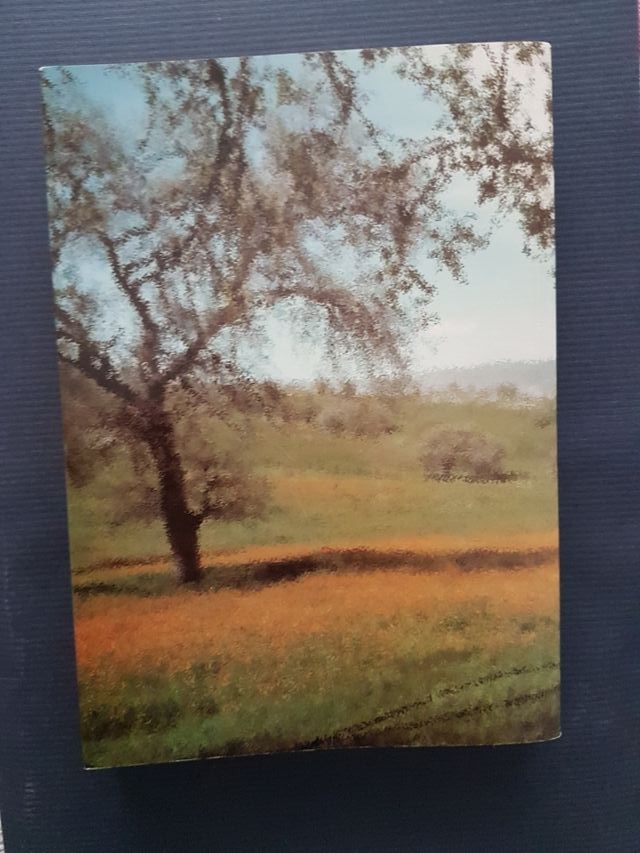 LA DESPEDIDA DE SOLTERA DE ANA ARANDA