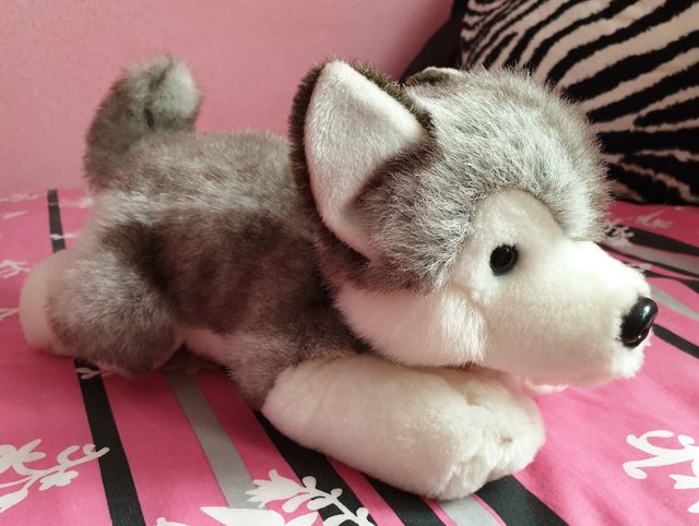 Peluche Husky
