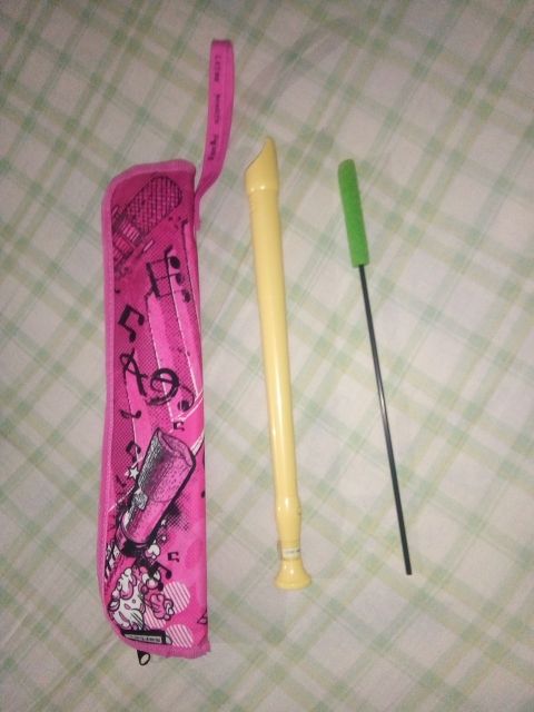 flauta dulce y funda