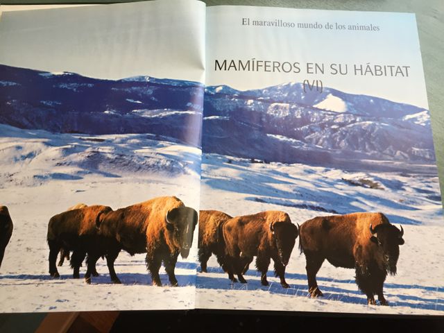 National Geographic MUNDO DE LOS ANIMALES