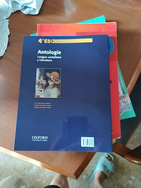 lengua castellana y literatura 4 ESO