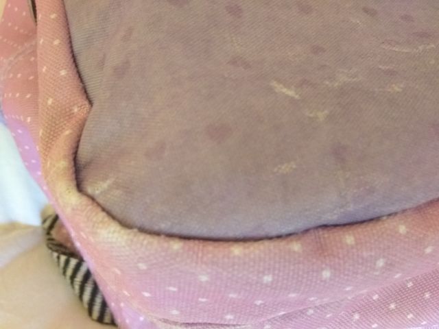 Mochila + estuche GORJUSS original