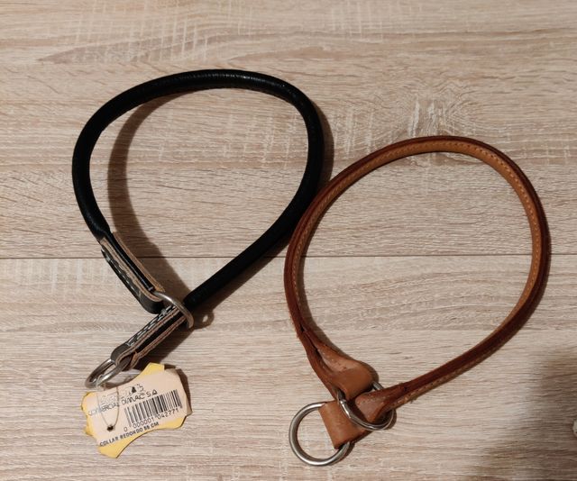 collar de perro