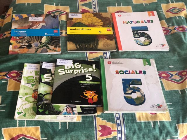 LIBROS DE 5 PRIMARIA Y DE 1 ESO