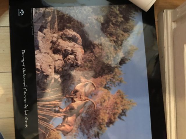 Folhas de reserva natural, acetinado, cartão 52x58