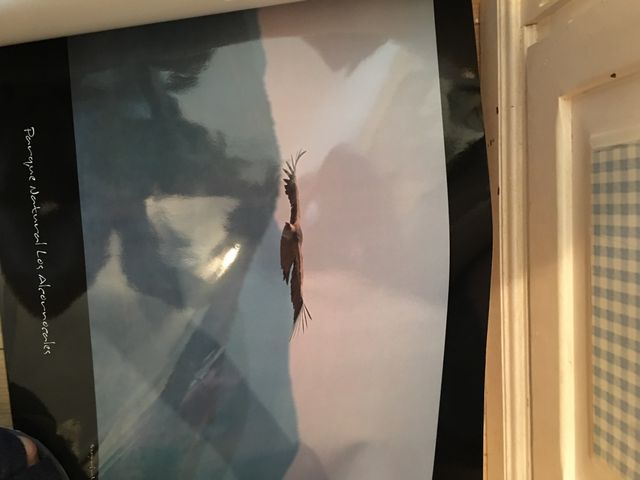 Folhas de reserva natural, acetinado, cartão 52x58