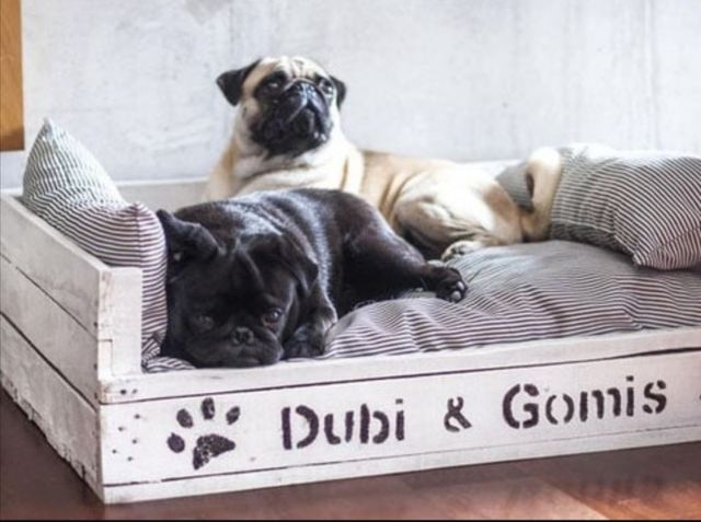 cama de palets para perros