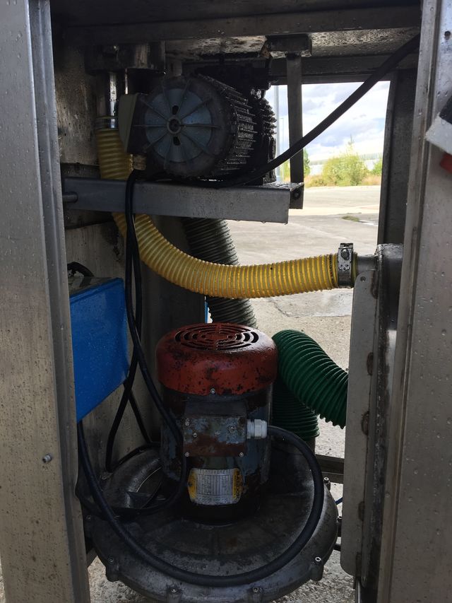 Peleadora Ranger apollo