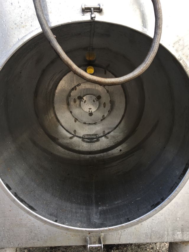 Peleadora Ranger apollo