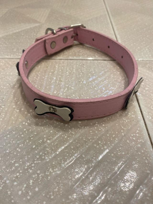 Correa polipiel para perro pequeño