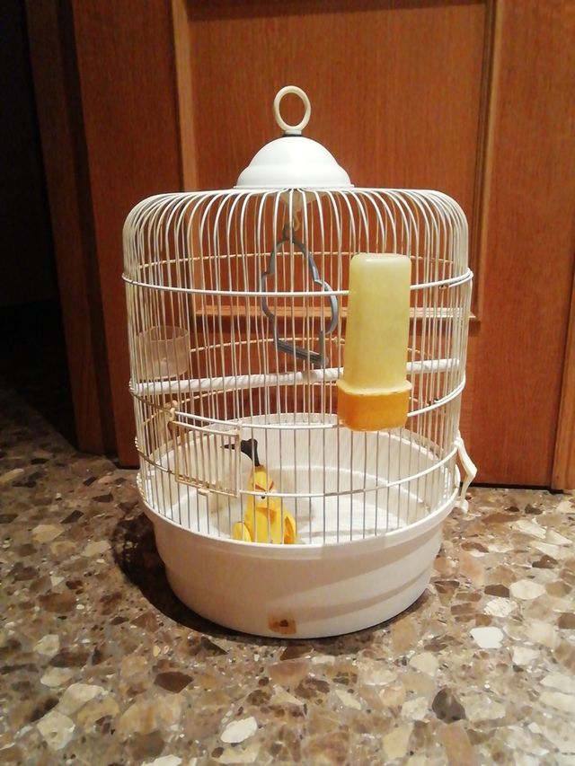 Oferta Jaula pájaros