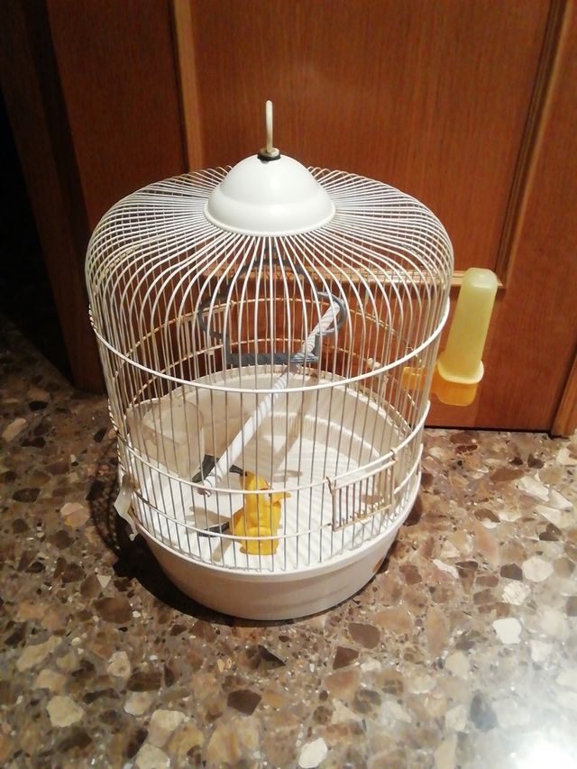 Oferta Jaula pájaros